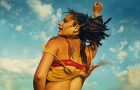 American Honey image