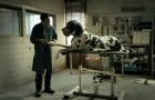 Dogman image