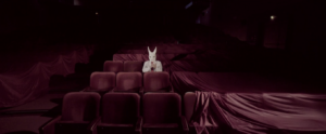 film polski o lekkim