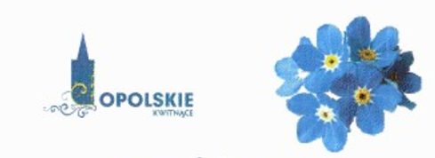 opolskie_niezapominajki_opolskie_lamy