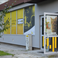 kino_meduza_opole