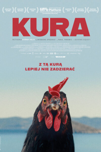 plakat_kura-700x1050 (1)